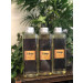 Masážny olej PURE LINE - MANGO (250 ml)